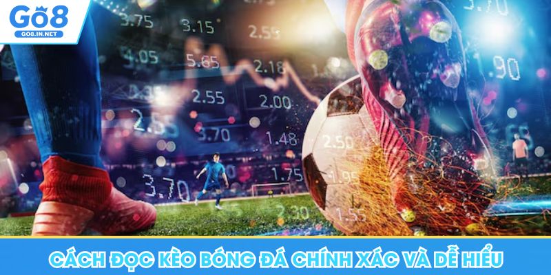 Hướng Dẫn Cách Đọc Kèo Bóng Đá Chuẩn Khi Đặt Cược Tại Go8 6 Cách đọc kèo bóng đá chính xác, dễ hiểu dành cho người mới tại Go8