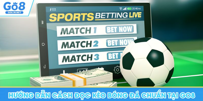 Hướng Dẫn Cách Đọc Kèo Bóng Đá Chuẩn Khi Đặt Cược Tại Go8 4 Hướng Dẫn Cách Đọc Kèo Bóng Đá Chuẩn Khi Đặt Cược Tại Go8