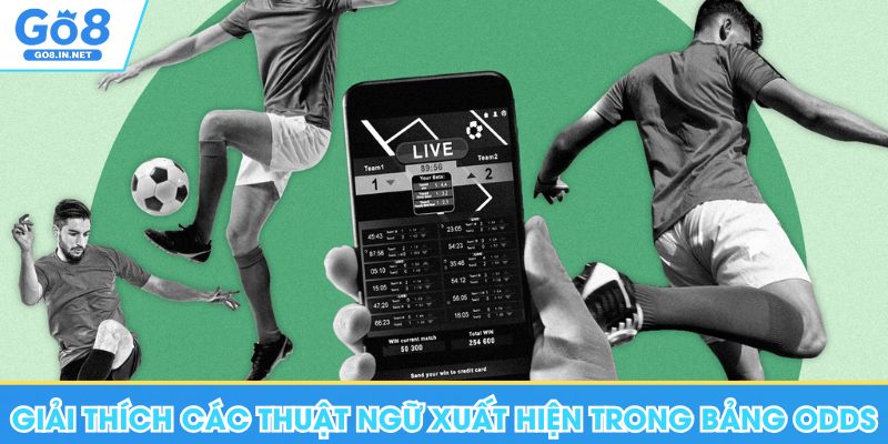Hướng Dẫn Cách Đọc Kèo Bóng Đá Chuẩn Khi Đặt Cược Tại Go8 5 Go8 giải thích về các thuật ngữ xuất hiện trong bảng Odds